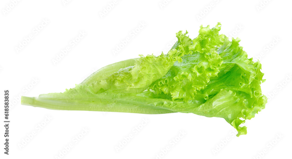 Fresh green lettuce transparent png - obrazy, fototapety, plakaty 