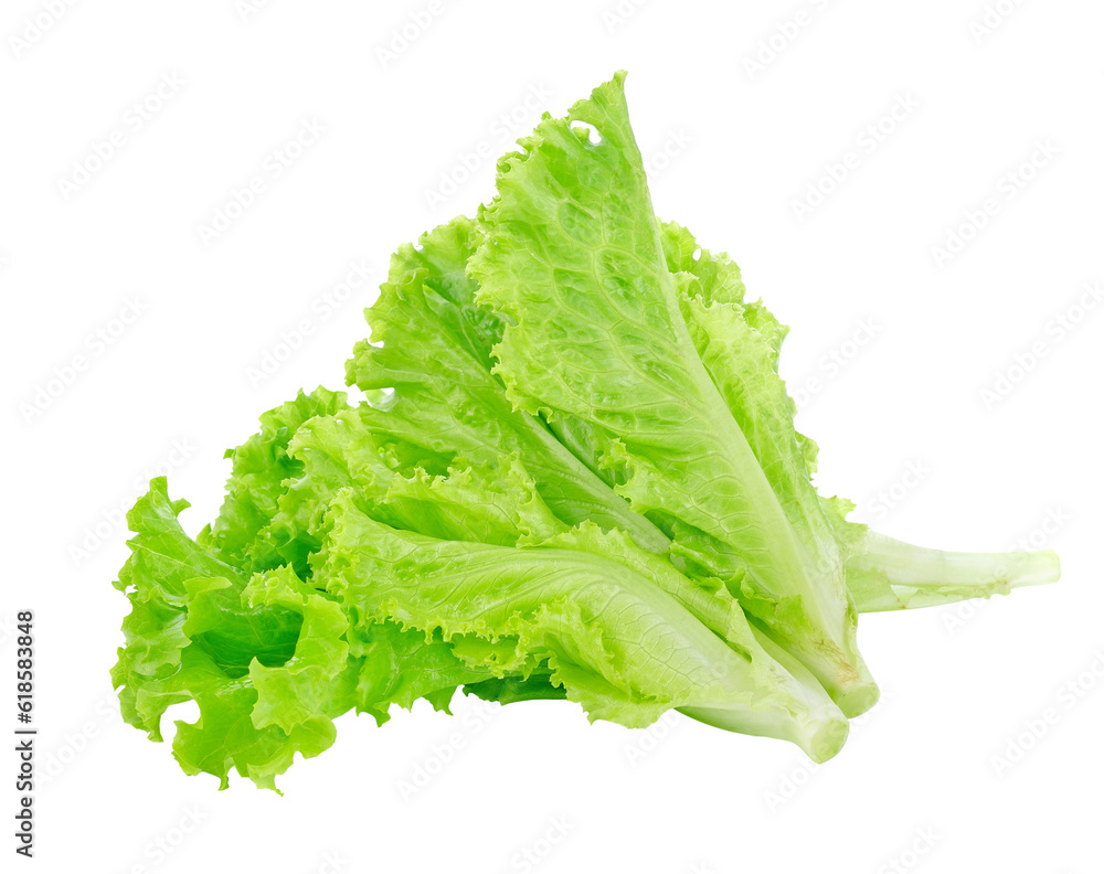 Lettuce salad transparent png Lettuce salad transparent png