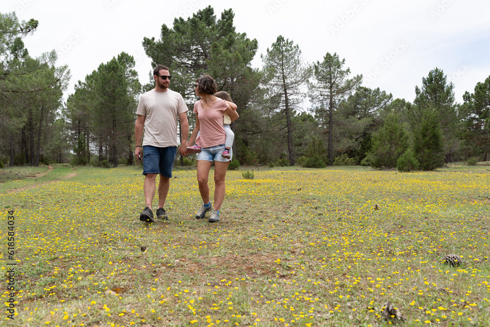 Fototapeta premium Father and mother with her toddler a piggyback having a walk on a meadow full of yellow flowers.