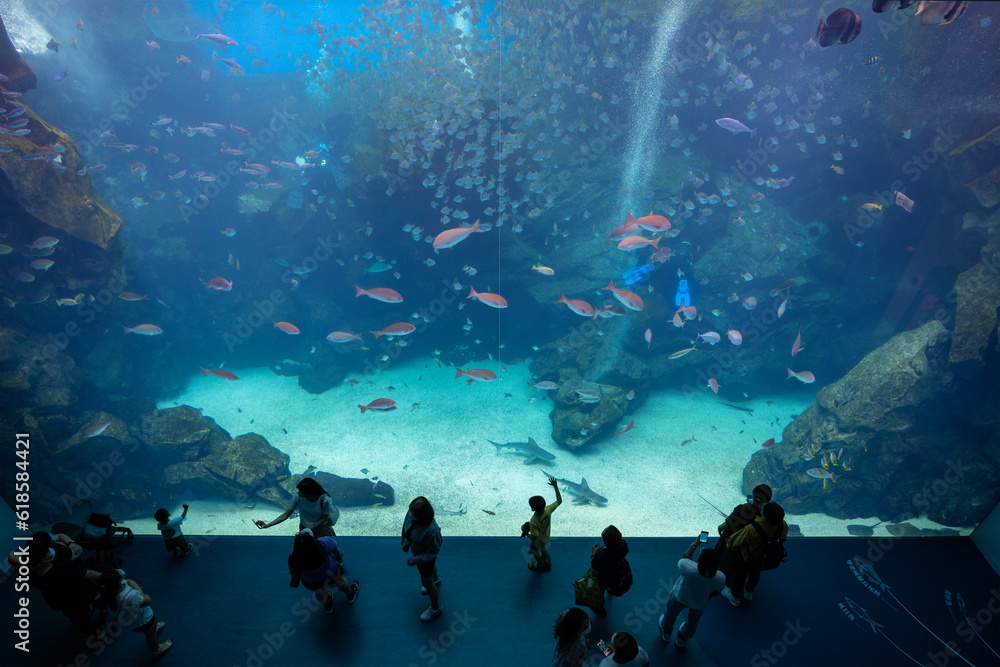 Fototapeta premium Xpark Aquarium in Taiwan