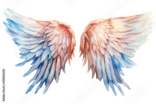 A set of colorful rainbow wings isolated on a white background