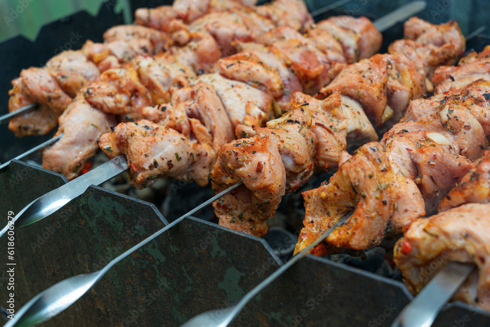 Pork skewers, roasted on skewers on the grill. Shashlik meat shish kebab on the grill. traditional outdoor barbecue picnic.
