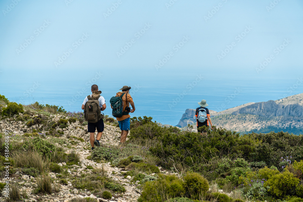 Three hikers walking in nature