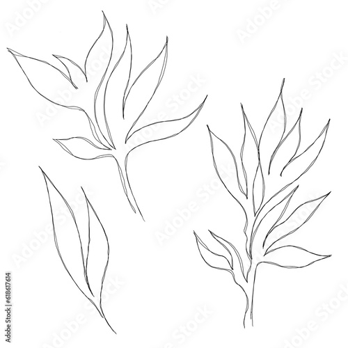 botany tattoo sketch - beautiful twig plant. Botanical element template. silh...
