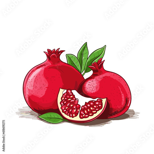 Pomegranate hand-drawn illustration. Pomegranate. Vector doodle style cartoon illustration