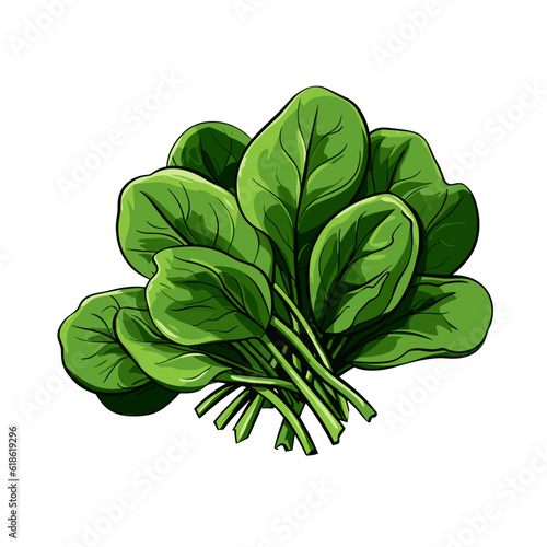 Spinach hand-drawn illustration. Spinach. Vector doodle style cartoon illustration