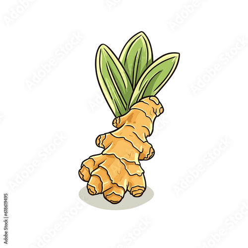 Ginger hand-drawn illustration. Ginger. Vector doodle style cartoon illustration