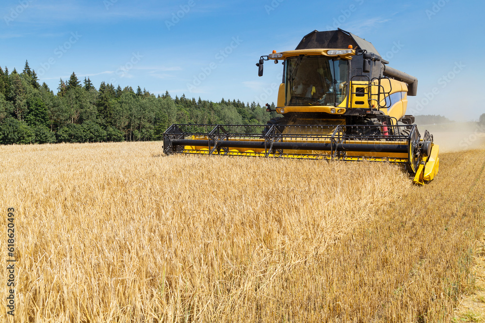 Obraz premium Harvesting with combines