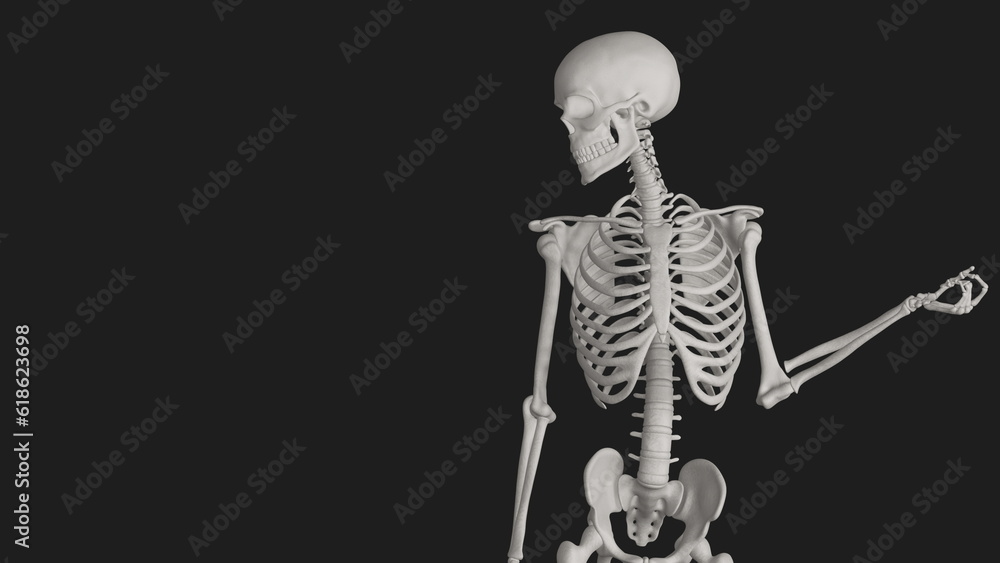 skeleton posing 3d render with black background skeleton posing 3d render with black background