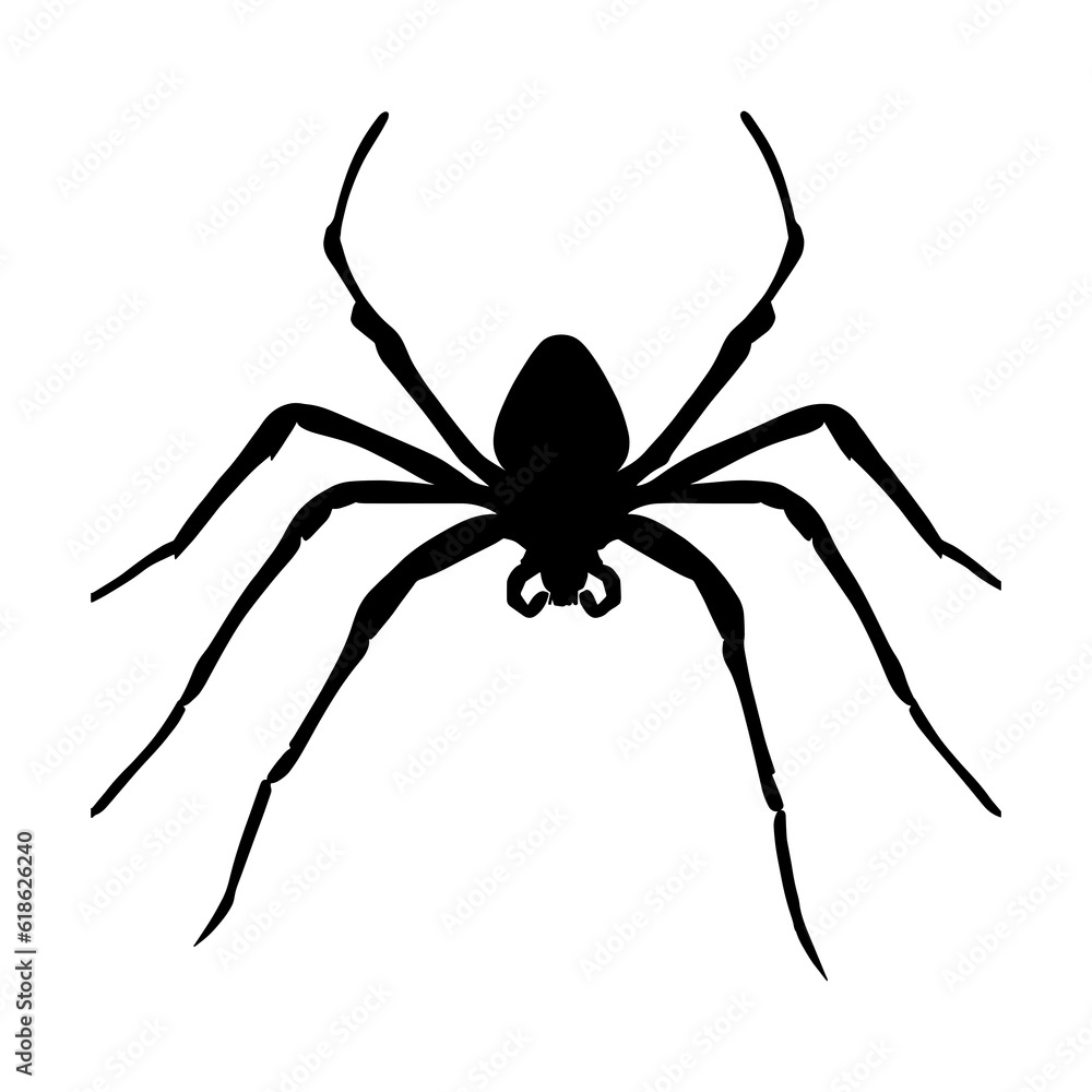 Spider silhouette isolated Spider silhouette isolated