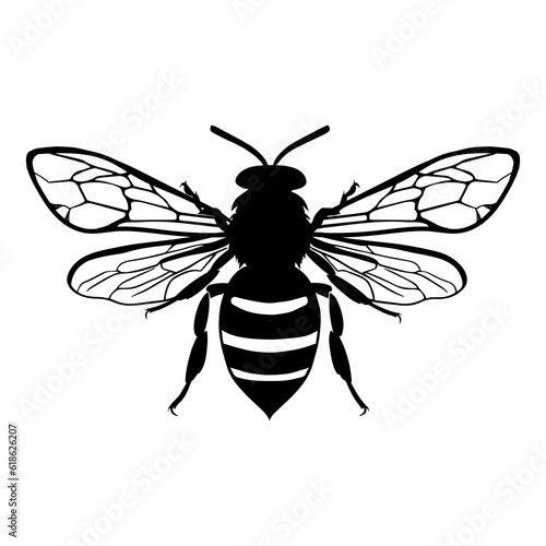 Honey Bee silhouette isolated