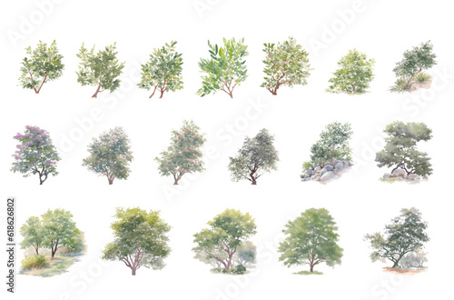 bush, shrub watercolor vector illustration, Minimal style tree painting hand drawn, Side view, set of graphics plant elements drawing for architecture and landscape design. Tropical, stone