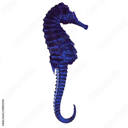 Potbelly sea horse photo