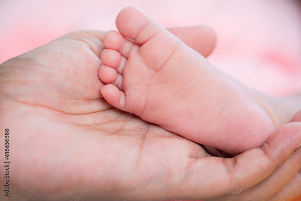 Baby feet,Baby feet in hands, mother, mother and her baby, happy family concept, beautiful conception image of childbirth Baby feet,Baby feet in hands, mother, mother and her baby, happy family concept, beautiful conception image of childbirth