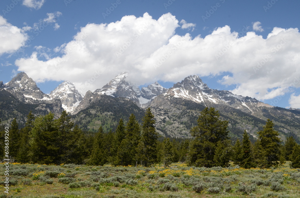 Fototapeta premium national park