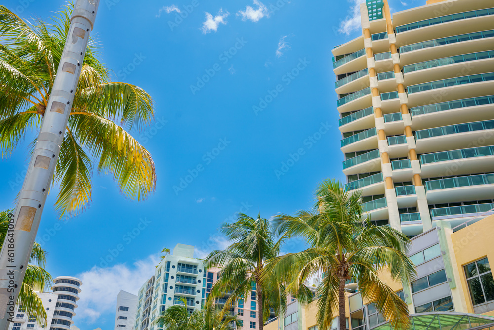 Miami Beach tropical destination scene