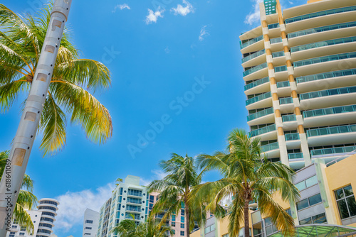 Miami Beach tropical destination scene © Felix Mizioznikov