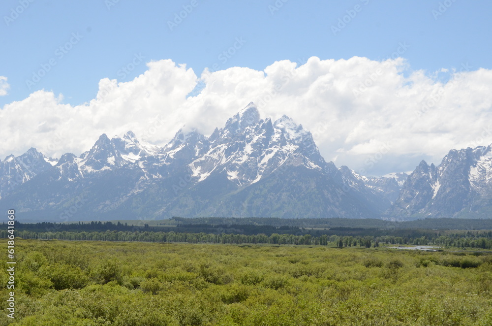 Fototapeta premium landscape with sky