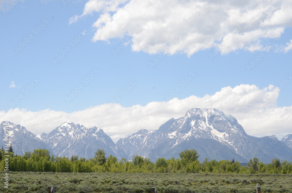 Fototapeta premium landscape with sky