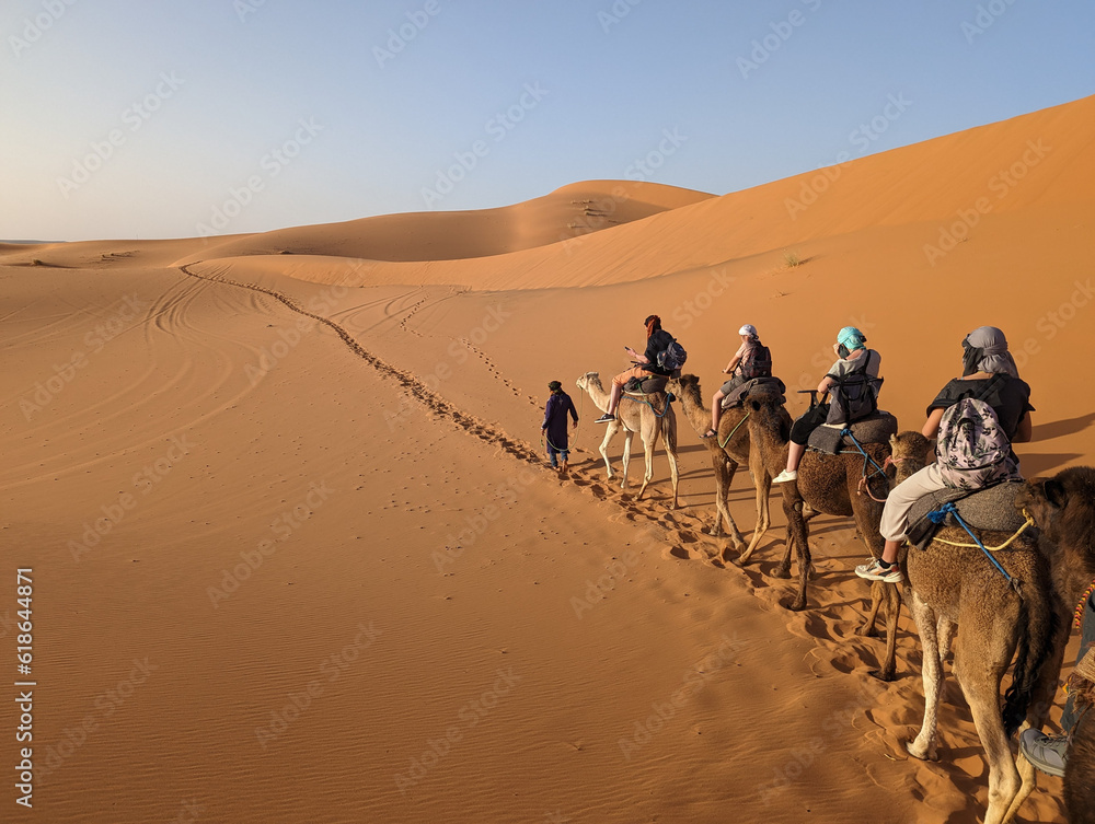 Fototapeta premium A caravan of dromedaries passing the Sahara desert in the evening