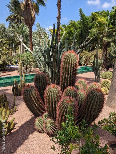 Peaceful park in the Nouvelle Ville of Marrakech