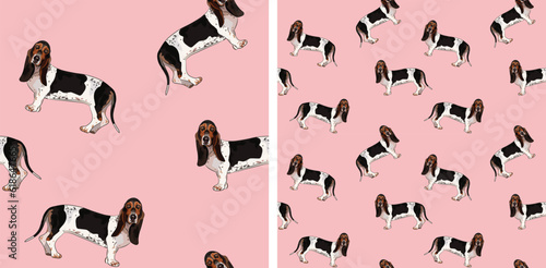 Basset hound dog holiday wallpaper. Pets square background, repeatable pink plain pattern, print tiles. Seamless pattern with dogs in a stitting and standing pose. Summer background with pets.