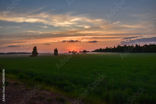 Sunset over field or garden 