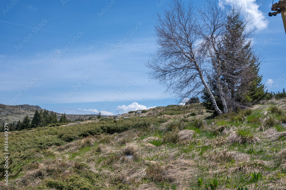 Spring view of Konyarnika area at Vitosha Mountain, Bulgaria Spring view of Konyarnika area at Vitosha Mountain, Bulgaria