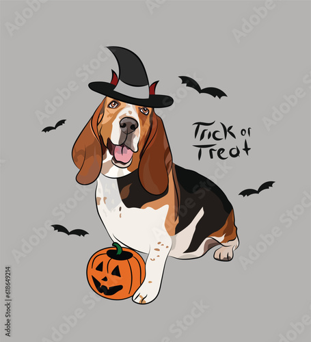 Dog Halloween greeting card with a sitting basset hound dog. Dog in a costume, pumpkin in a paw. Postcard for pet lovers. Pet character postcard art. Funny yellow dog mascot. Witch spooky pet.