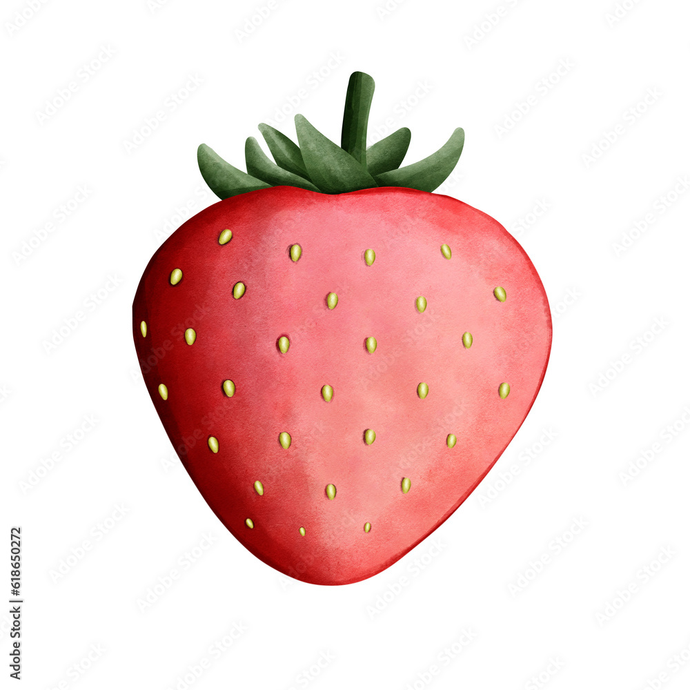 Fototapeta premium Strawberry