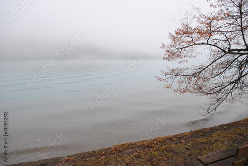 misty morning on the river