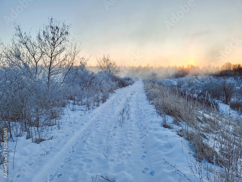 winter landscape with snow