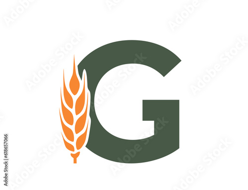 letter g with wheat ear. creative harvest and organic food alphabet logo. agriculture, grain crops and cereal farming