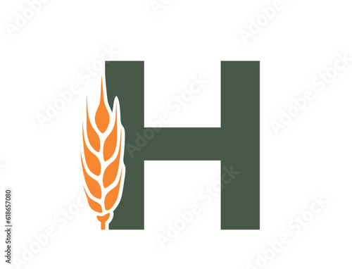 letter h with wheat ear. harvest and organic food alphabet logo symbol. agriculture, grain crops and cereal farming