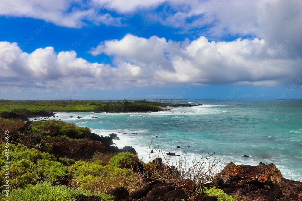 Fototapeta premium Viewpoint (Isla Isabela- Galapagos Islands)