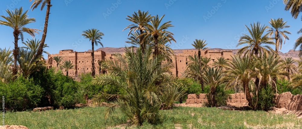 Farmland in front of the scenic berber village Tamenougalt in the Draa valley, a tourist being led by a berber to the village