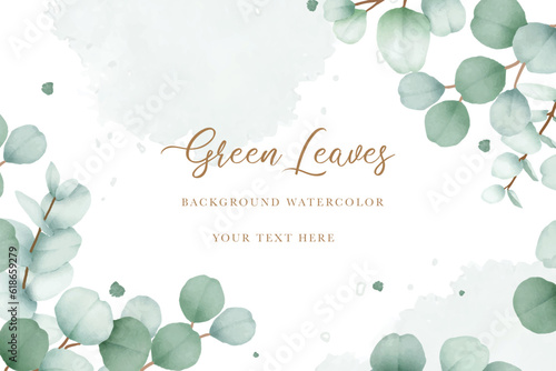 Elegant floral background with hand drawing eucalyptus watercolor  