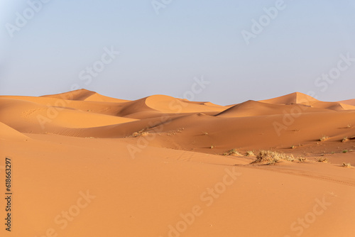 Picturesque dunes in the Erg Chebbi desert in the early evening, part of the African Sahara
