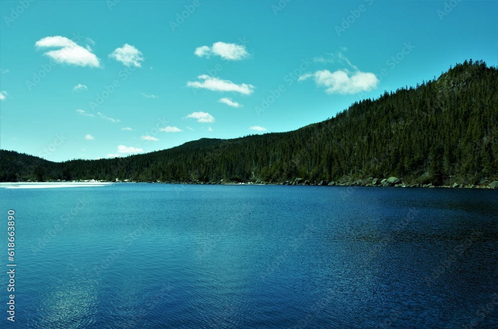 lake in the forest on the island of Newfoundland