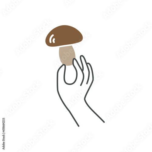 Hand holding mushroom.