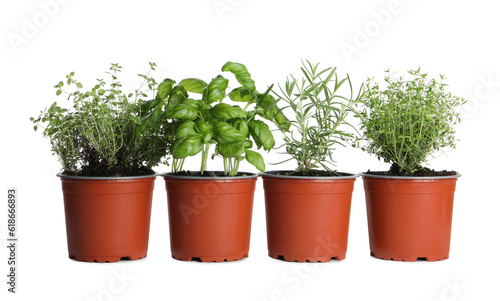 Φωτογραφία Different aromatic potted herbs on white background