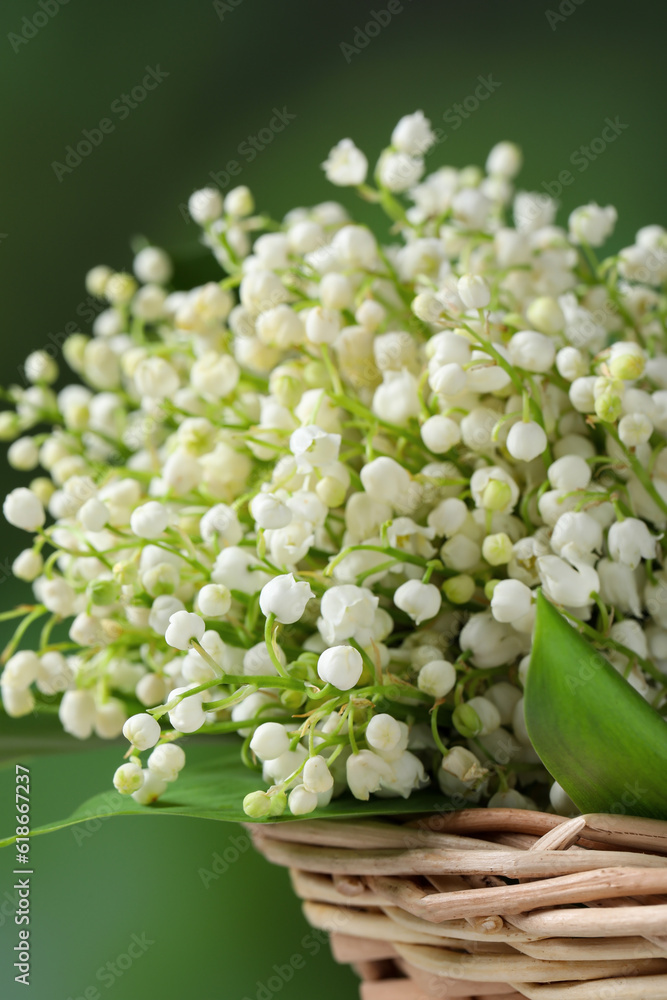 Wicker basket with beautiful lily of the valley flowers on blurred green background, closeup Wicker basket with beautiful lily of the valley flowers on blurred green background, closeup