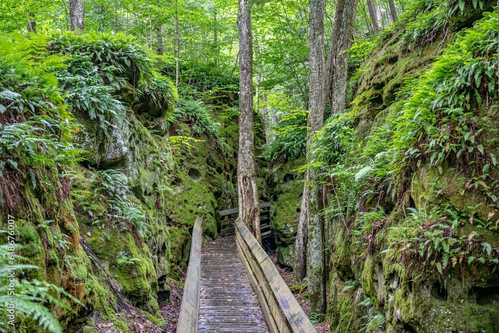 beartown wv beartown wv