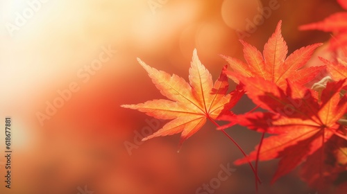 web banner design for autumn season and end year activity with red and yellow maple leaves with soft focus light and bokeh background photo