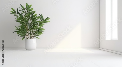Tropical plant with lush leaves on floor near white wall. Space for text © Clown Studio