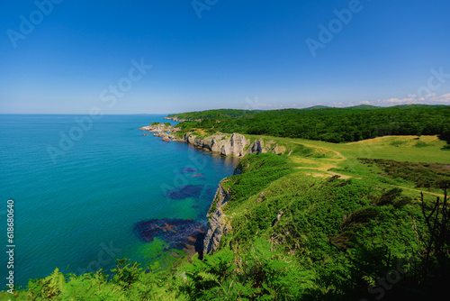 White rocks with green grass by sea on summer sunny day
