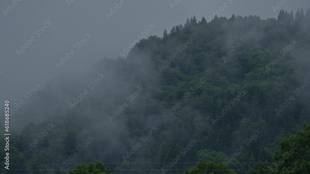 梅雨時期の湿度を感じる、霧深い木々や山の様子 梅雨時期の湿度を感じる、霧深い木々や山の様子
