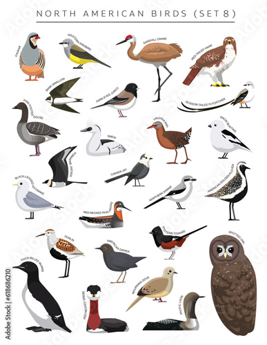 North American Birds Set Cartoon Vector Character 8