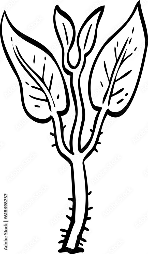 drawing sprout tree illustration. drawing sprout tree illustration.