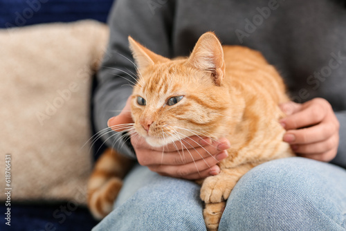 Woman stroking ginger cat on sofa at home, closeup